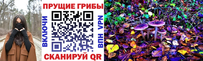 где купить   Ленск  Псилоцибиновые грибы GOLDEN TEACHER 